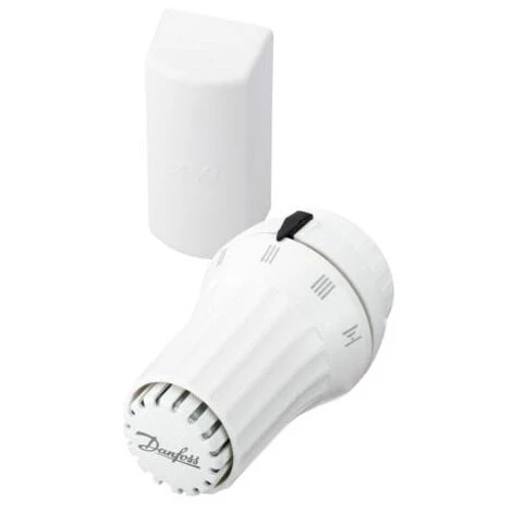 DANFOSS Tête Thermostatique Liquide RAE - Bulbe à Distance
